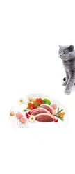 Brit Care Cat Grain-Free Sterilized Weight Control 400 g