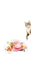 Brit Care Cat GF Sensitive Healthy Digestion & Delicate Taste 400 g