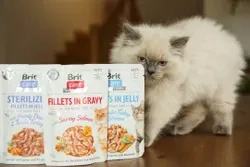 Brit Care Cat Sterilized. Fillets in Jelly w Hearty Duck&Tender Turkey 85 g