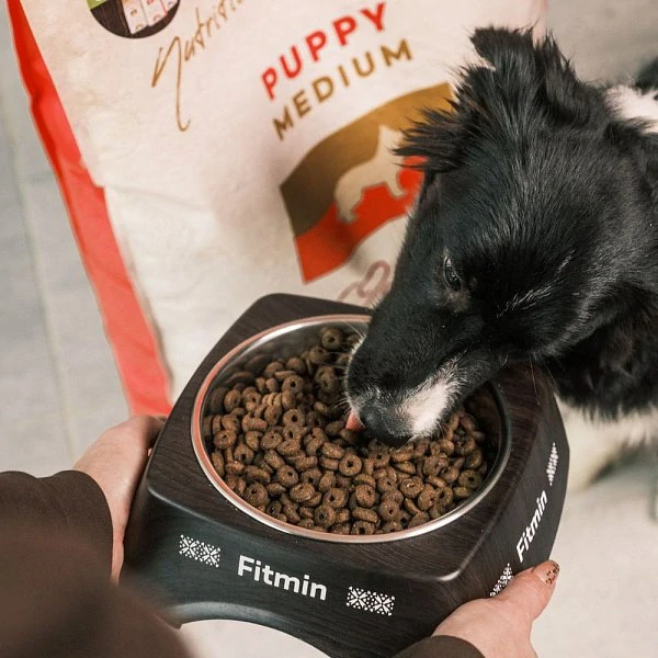 Fitmin Medium Puppy kompletní krmivo pro štěňata 12 kg